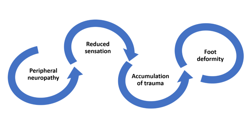 , Charcot Foot and Ankle Causes: Where the Pathology Starts