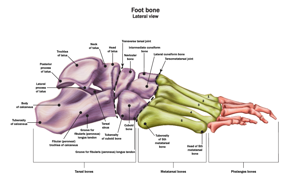 , Surgical Approaches for Charcot Foot